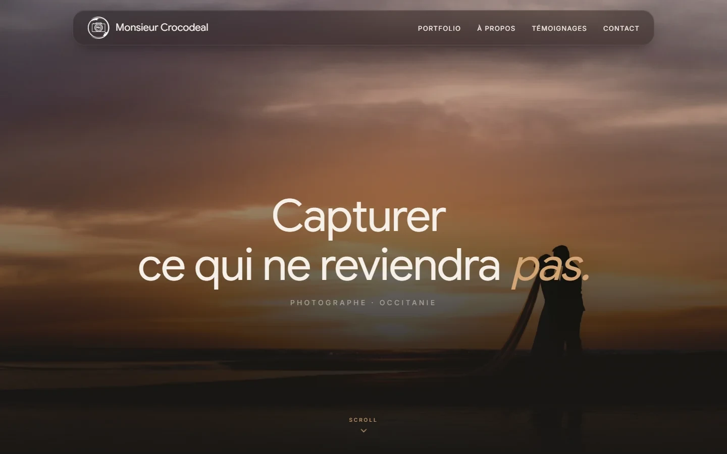 Monsieur Crocodeal — Portfolio